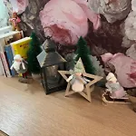 Apartman Petit Cocon Cosy Proche Place Stanislas-parking & Cave Velos Nancy