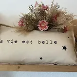 Petit Cocon Proche De Stanislas * Nancy