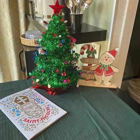 Petit Cocon Proche De Stanislas Apartment *