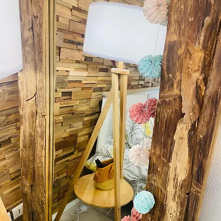 Petit Cocon Proche De Stanislas Nancy