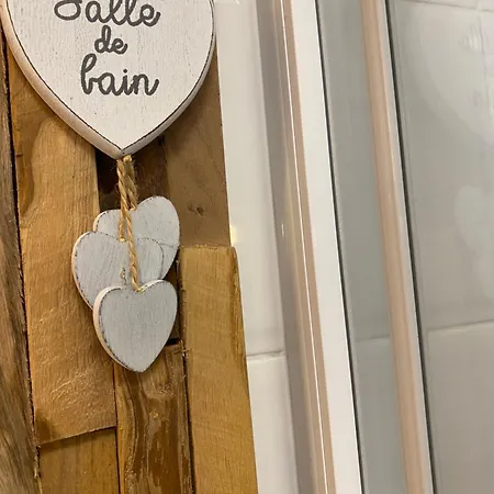公寓 Petit Cocon Cosy Proche Place Stanislas-parking & Cave Velos *