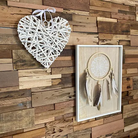 Petit Cocon Proche De Stanislas Apartment