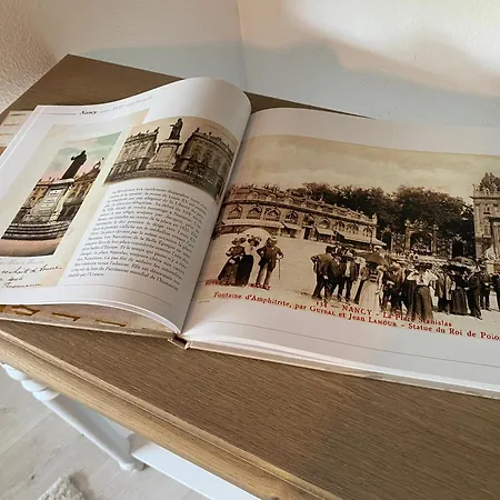 Petit Cocon Cosy Proche Place Stanislas-parking & Cave Velos * 南锡