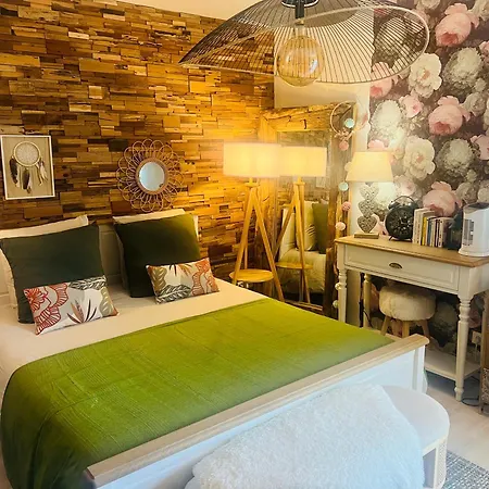 Petit Cocon Cosy Proche Place Stanislas-parking & Cave Velos 南锡