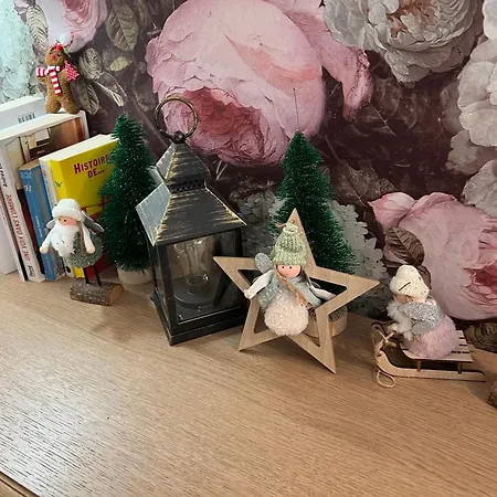 Apartment Petit Cocon Proche De Stanislas Nancy