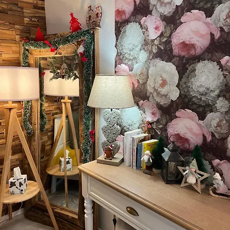 Апартаменты Petit Cocon Cosy Proche Place Stanislas-parking & Cave Velos Нанси