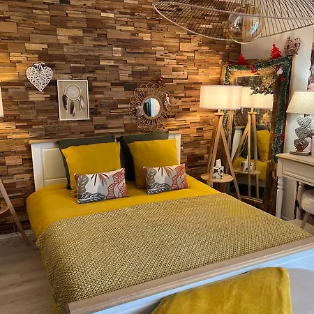 Petit Cocon Proche De Stanislas Nancy