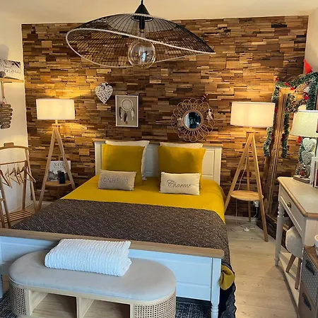 Petit Cocon Proche De Stanislas *