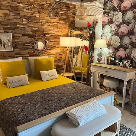 Petit Cocon Cosy Proche Place Stanislas-parking & Cave Velos Апартаменты *