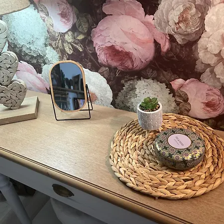 Petit Cocon Cosy Proche Place Stanislas-parking & Cave Velos Апартаменты Нанси