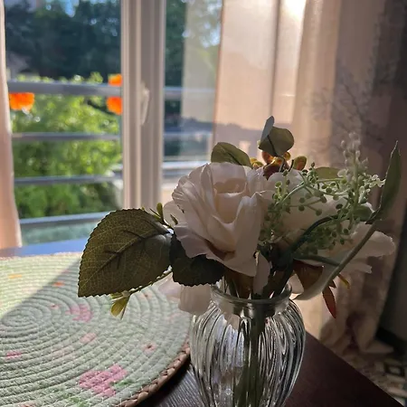 Apartment Petit Cocon Proche De Stanislas Nancy