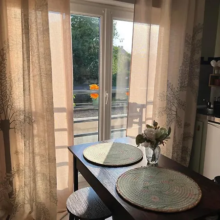 Appartement Petit Cocon Proche De Stanislas *