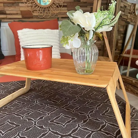 Petit Cocon Proche De Stanislas Appartement Nancy