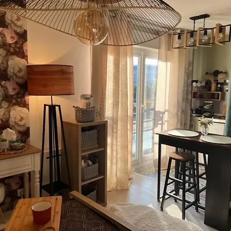 Appartement Petit Cocon Proche De Stanislas