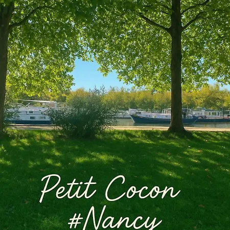 Апартаменты Petit Cocon Cosy Proche Place Stanislas-parking & Cave Velos
