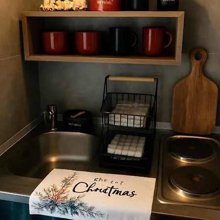 Appartement Petit Cocon Proche De Stanislas Nancy