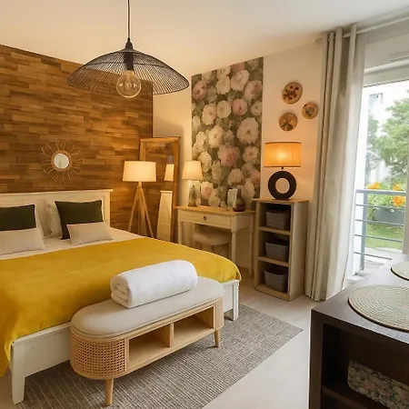 Petit Cocon Cosy Proche Place Stanislas-parking & Cave Velos 南锡