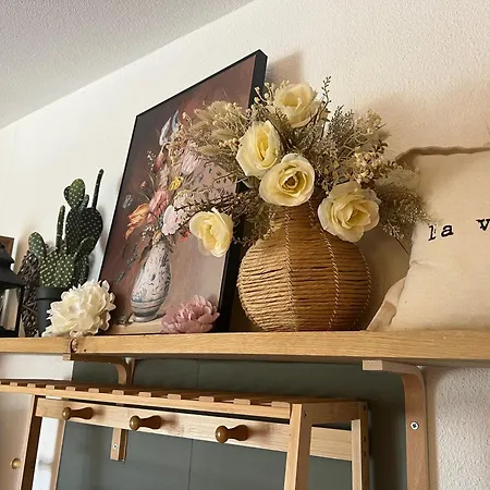 Petit Cocon Proche De Stanislas Nancy