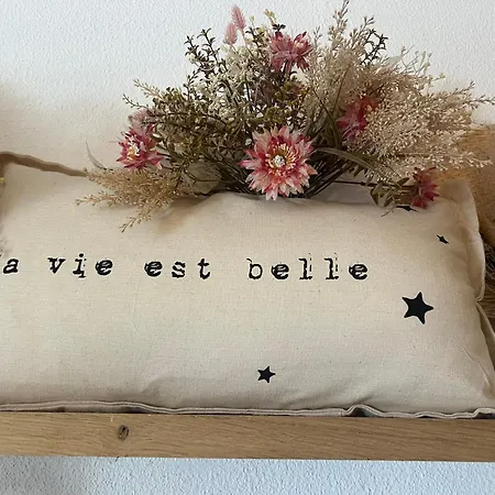 Petit Cocon Proche De Stanislas * Nancy