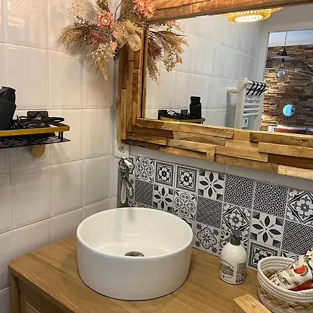 Petit Cocon Cosy Proche Place Stanislas-parking & Cave Velos 公寓
