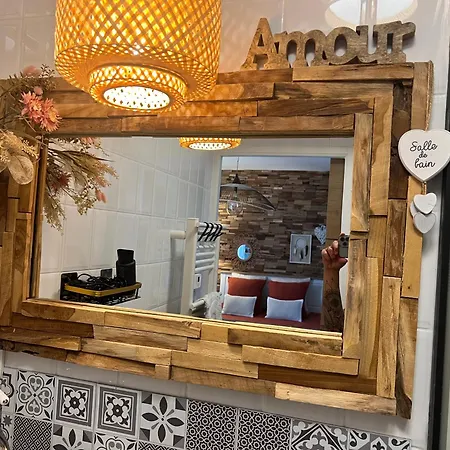 Petit Cocon Cosy Proche Place Stanislas-parking & Cave Velos 公寓 南锡