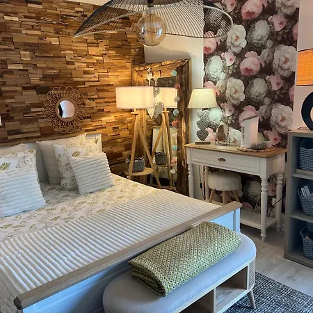 Petit Cocon Proche De Stanislas Nancy