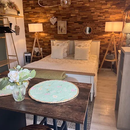 Petit Cocon Cosy Proche Place Stanislas-parking & Cave Velos * 南锡