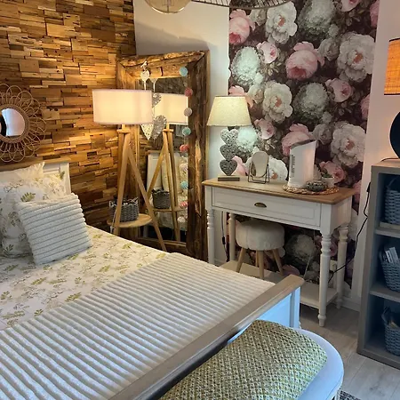 Petit Cocon Cosy Proche Place Stanislas