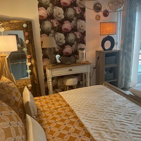 Petit Cocon Proche De Stanislas *