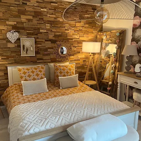 Апартаменты Petit Cocon Cosy Proche Place Stanislas-parking & Cave Velos Нанси