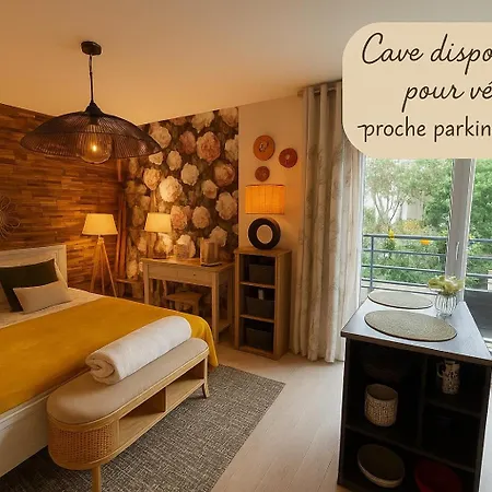 Petit Cocon Proche De Stanislas Appartement