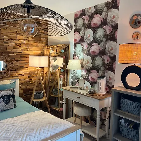 Apartment Petit Cocon Cosy Proche Place Stanislas-parking & Cave Velos
