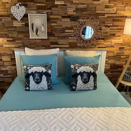 Petit Cocon Proche De Stanislas Appartamento *