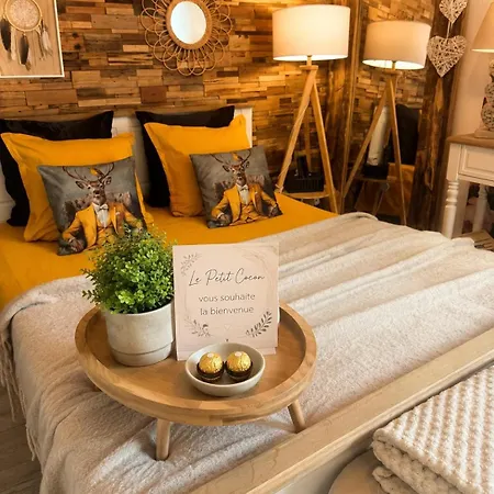 Petit Cocon Cosy Proche Place Stanislas-parking & Cave Velos 公寓