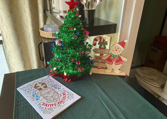 Petit Cocon Cosy Proche Place Stanislas Apartment *