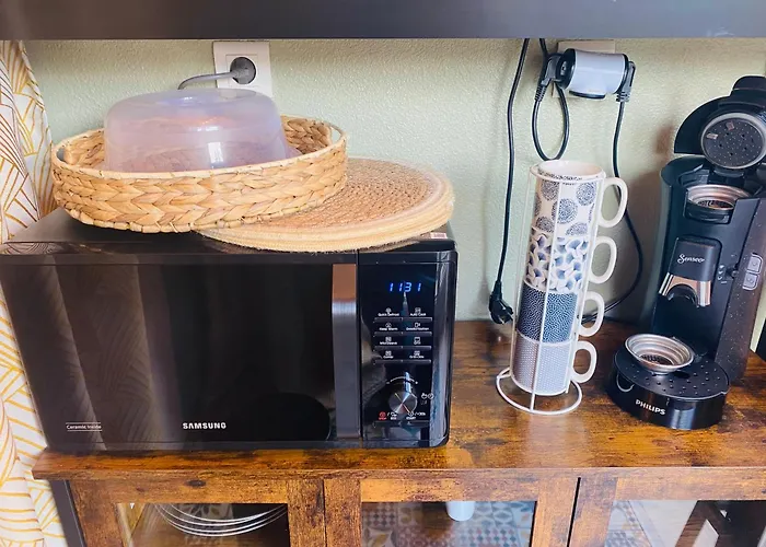 Petit Cocon Cosy Proche Place Stanislas Apartment *