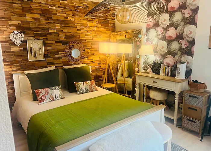 Petit Cocon Cosy Proche Place Stanislas Nancy