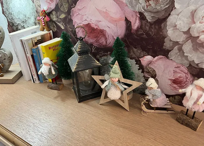 Lägenhet Petit Cocon Cosy Proche Place Stanislas Nancy