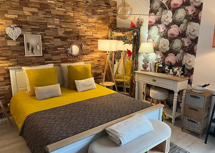 Petit Cocon Cosy Proche Place Stanislas Apartment *