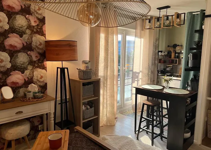 Petit Cocon Cosy Proche Place Stanislas * Nancy