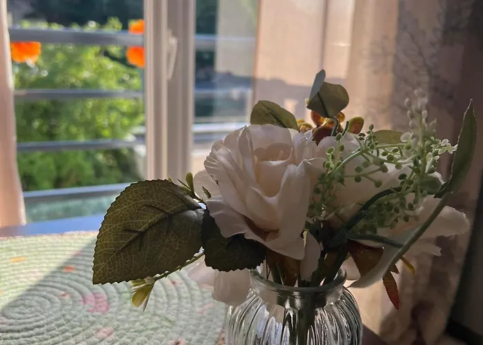 Appartamento Petit cocon proche de Stanislas Nancy