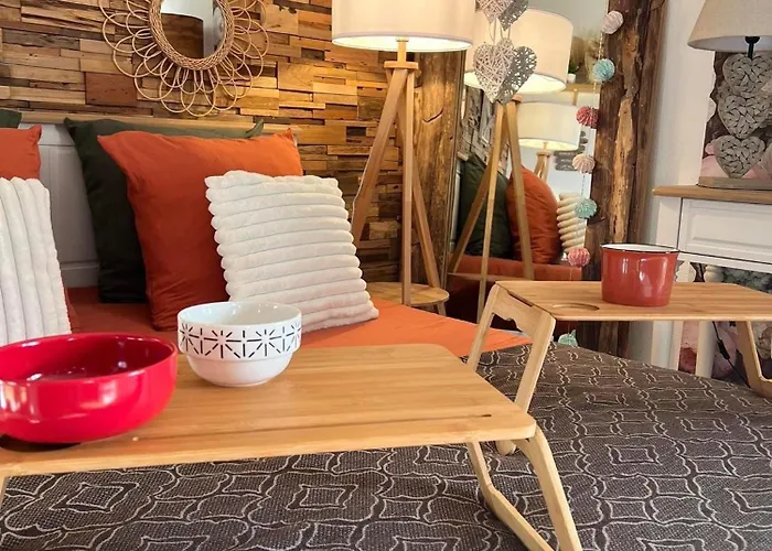 Petit Cocon Cosy Proche Place Stanislas Apartment