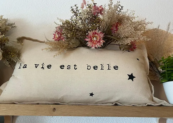 Petit cocon proche de Stanislas * Nancy