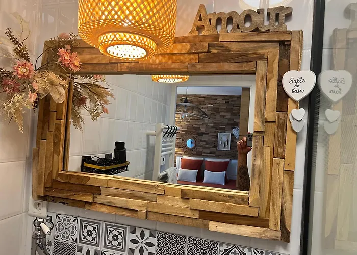 Petit Cocon Cosy Proche Place Stanislas Apartment Nancy