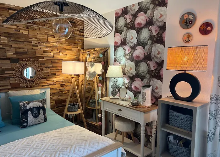 Apartment Petit Cocon Cosy Proche Place Stanislas