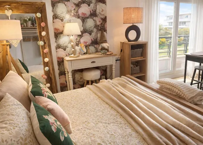 Apartment Petit Cocon Cosy Proche Place Stanislas Nancy